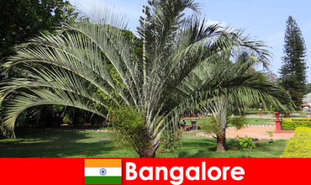 Бангалоре приємний клімат цілий рік для кожного іноземця коштує поїздка