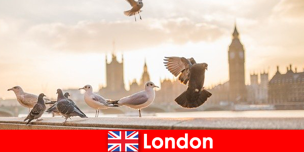 Пам’ятки Лондона для міжнародних відвідувачів
