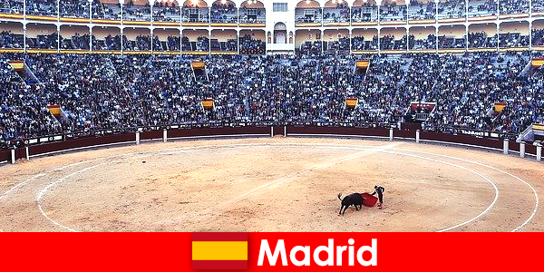 Традиційні фестивалі в Мадриді вражають кожного незнайомця