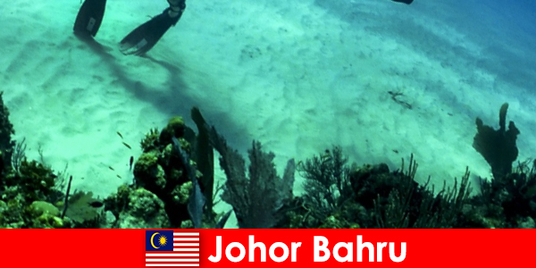 Пригоди заходи в Johor Bahru дайвінг, скелелазіння, піші прогулянки та багато іншого