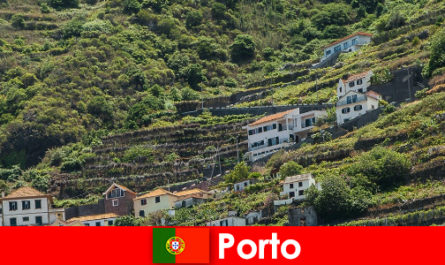 Порто місце відпочинку для любителів вина з усього світу