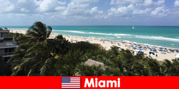 Пальмові піщані пляжі хвилі чекають довгострокових відпочиваючих в парадизіака Майамі США