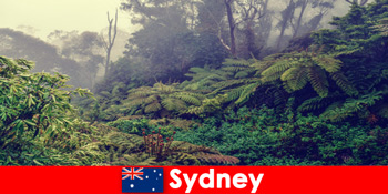 Досліджуючи Сідней Австралія в вражаючий світ національних парків