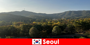 Популярні групові святкові пакети в Сеул Південна Корея