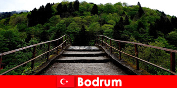 Помірні температури – найкращий час для походів для відпочиваючих в Бодрум Туреччина