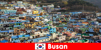 Поїздка за кордон в Пусан Південна Корея з культурою харчування на кожному розі за невеликі гроші
