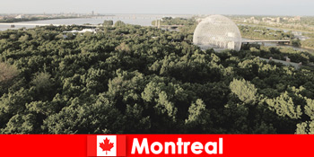 Туристи досліджують дику природу в Монреалі Канада пішки