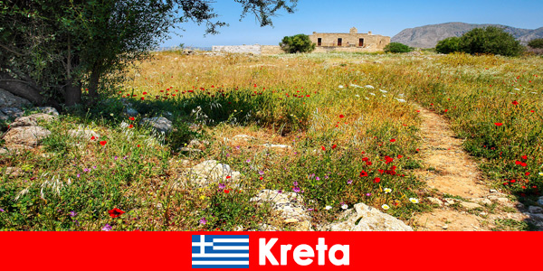 Здорова середземноморська їжа з досвідом природи чекає відпочиваючих на Криті Греція