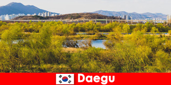 Найкращі поради щодо незалежних мандрівників у Тегу, Південна Корея