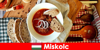 Гості насолоджуються населеними пунктами та культурою у місті Мішкольц Угорщина