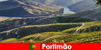 Гості люблять дегустації вин і делікатеси на горах Портіману Португалія