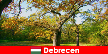 Курортний відпочинок для пенсіонерів в Дебрецені Угорщина з великим серцем