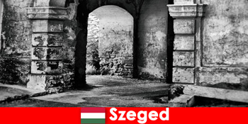 Пенсіонери вважають за краще любити і жити в Сегед Угорщині